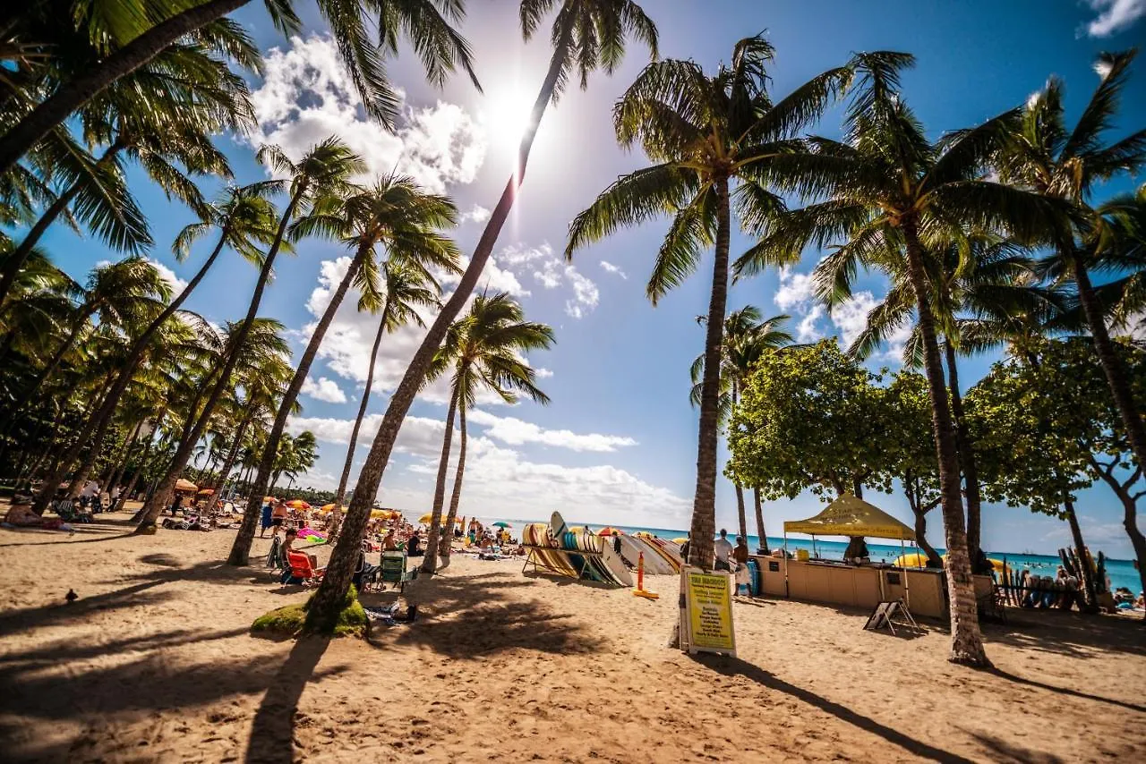 Daire City & Ocean Views 1Br, Steps From Waikiki Beach & Free Parking! Honolulu